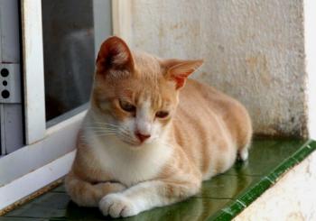 Bastiane Bild von Bastiane