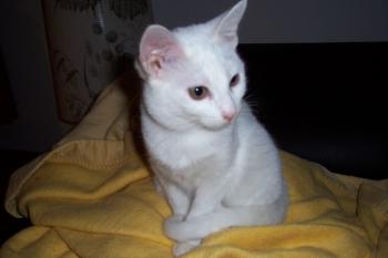 Anna Bild von Anna