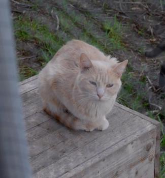 Bild von Shira
