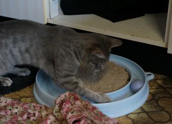 Bild von Sookie