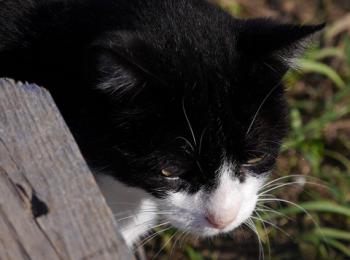 Pepa Bild von Pepa