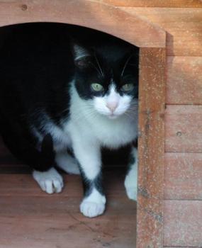 Pepa Bild von Pepa