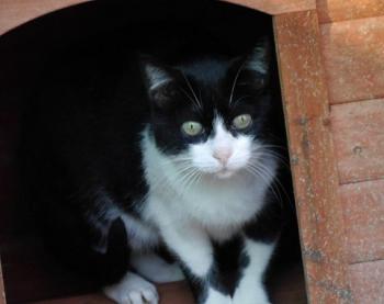 Pepa Bild von Pepa