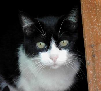 Pepa Bild von Pepa