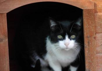 Pepa Bild von Pepa