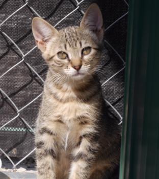 Pichou Bild von Pichou