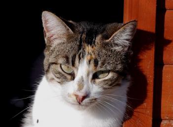 Lotte Bild von Lotte