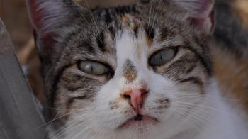 Lotte Bild von Lotte