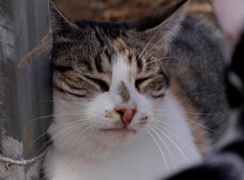 Lotte Bild von Lotte