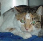 Fiona Bild von Fiona