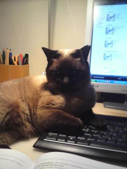 Mila Bild von Mila