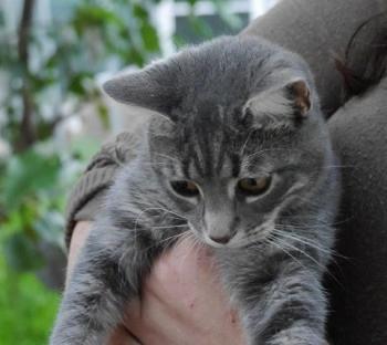 Bild von Bibi