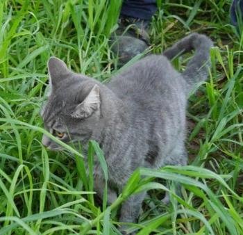Bild von Bibi