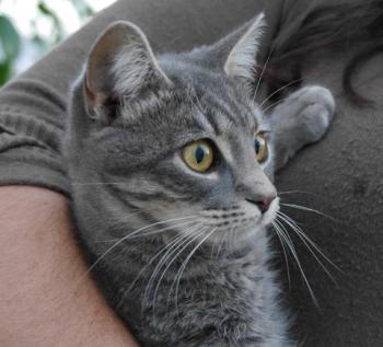 Bild von Bibi