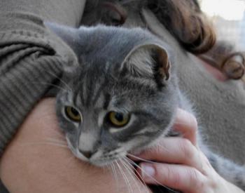 Bild von Bibi