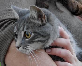 Bild von Bibi