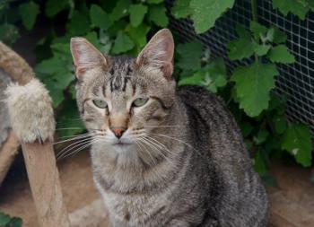 Joschi Bild von Joschi