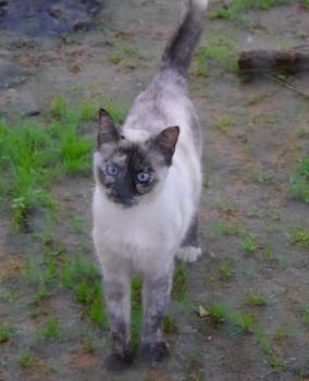 Bild von Mandy