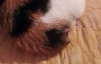 Lola Bild von Lola