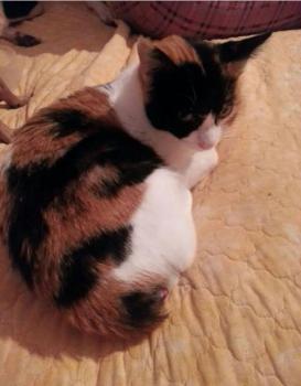 Lola Bild von Lola