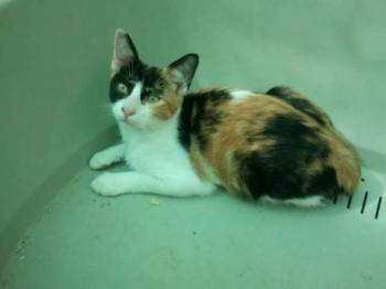 Lola Bild von Lola