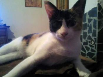 Lola Bild von Lola