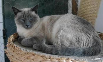 Bild von Isra