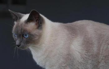 Bild von Isra