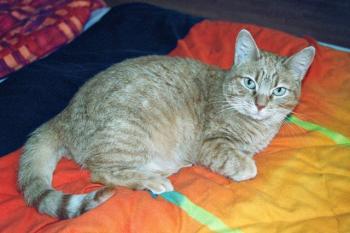 Regina Bild von Regina