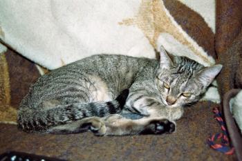Fermina Bild von Fermina