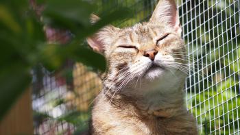 Migoya Bild von Migoya