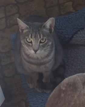 Bild von Sookie