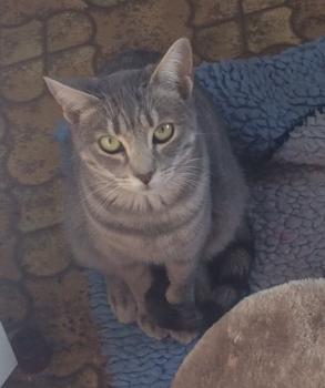 Bild von Sookie
