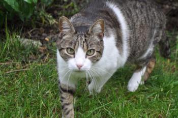 Bild von Mico