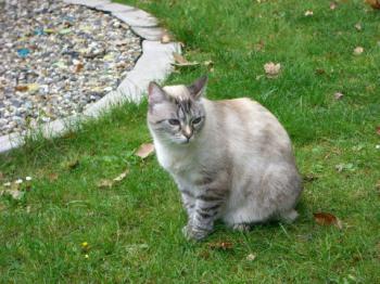 Bety Bild von Bety