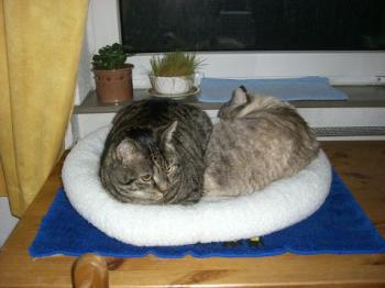 Bety Bild von Bety