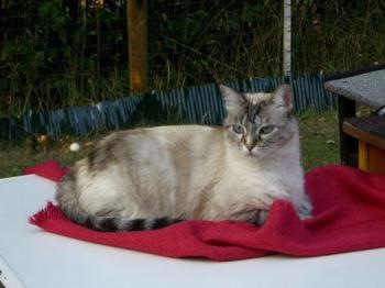 Bety Bild von Bety