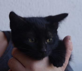 Mayla Bild von Mayla