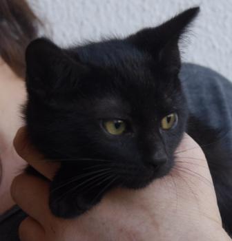 Mayla Bild von Mayla
