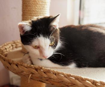 Elfriede Bild von Elfriede