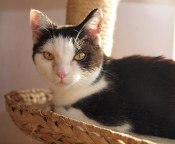 Elfriede Bild von Elfriede