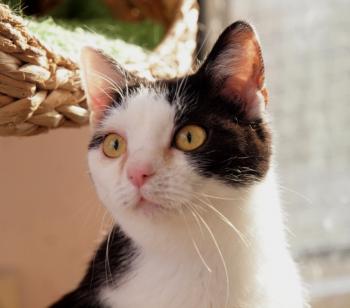 Elfriede Bild von Elfriede