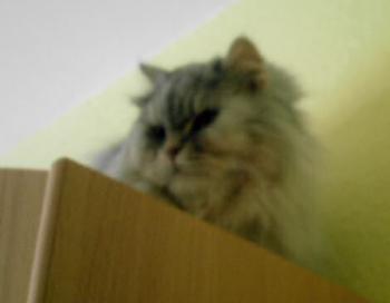 Zoey Bild von Zoey