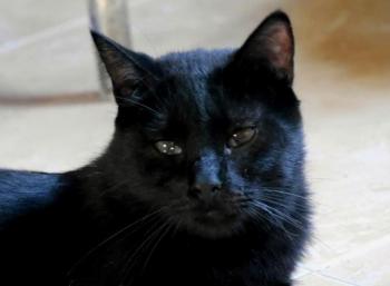 Coco Bild von Coco