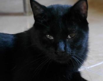 Coco Bild von Coco