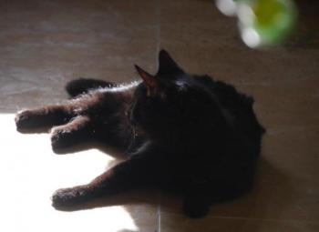 Coco Bild von Coco