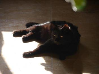 Coco Bild von Coco