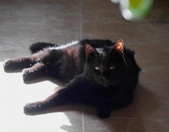 Coco Bild von Coco