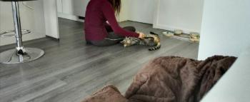 Joschi Bild von Joschi