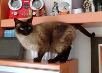 Bild von Betty